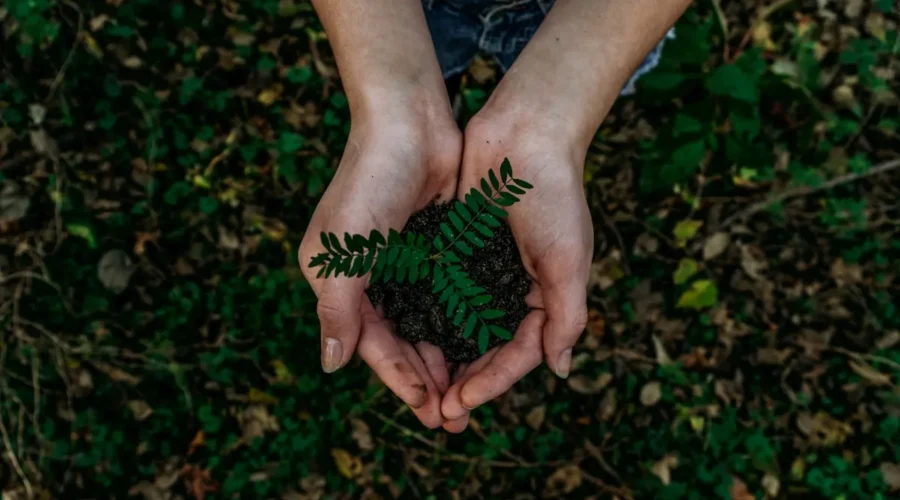 Élargissement du Programme d&rsquo;Aide d&rsquo;Urgence aux PME au Québec (30 Août 2026) : Nouveaux Seuils, Secteur Forestier et Démarches d&rsquo;Admissibilité