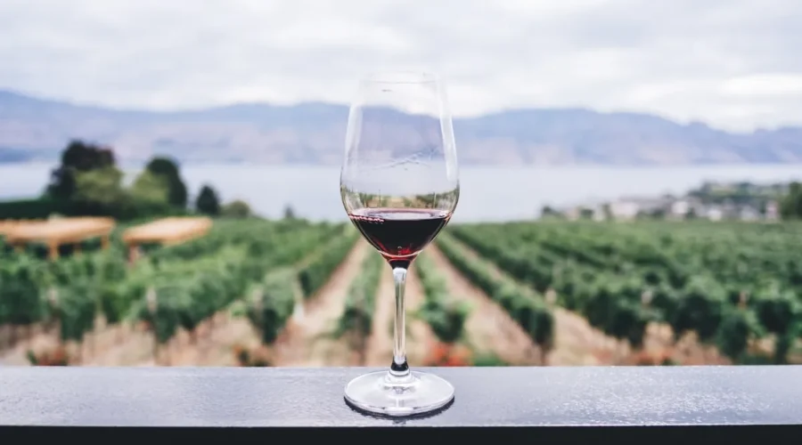 Vins du Québec vs retour des produits américains à la SAQ : Comment soutenir nos vignobles locaux à l’été 2026